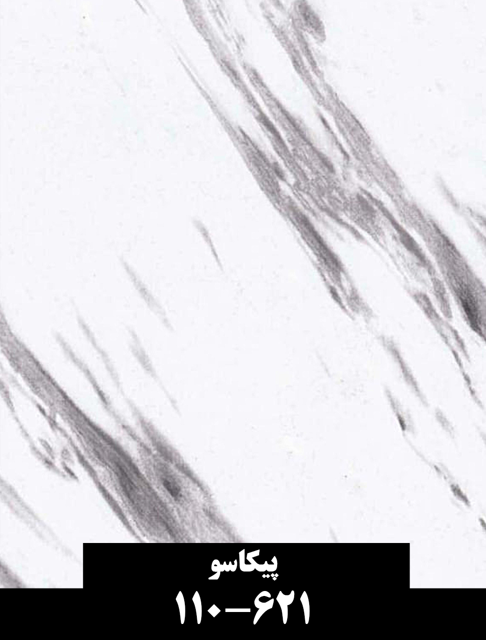 پیکاسو